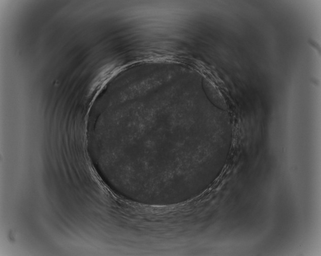 X0000097800002200803281045