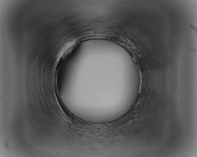 X0000097800003200803281045