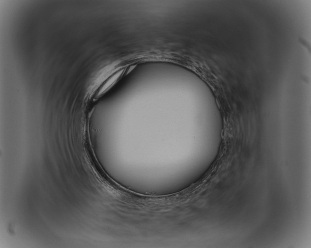 X0000097800005200803281045