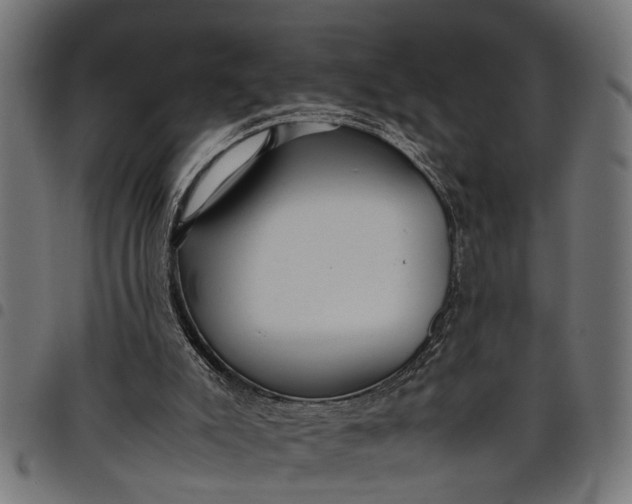 X0000097800007200803281045