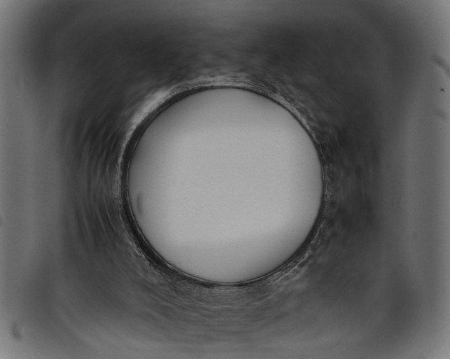 X0000097800008200803281045