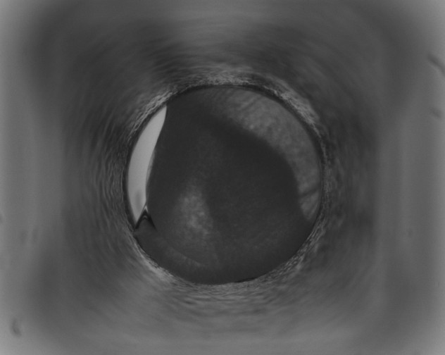 X0000097800009200803281045