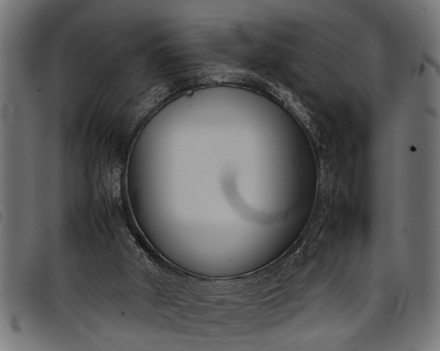 X0000097800010200803281045