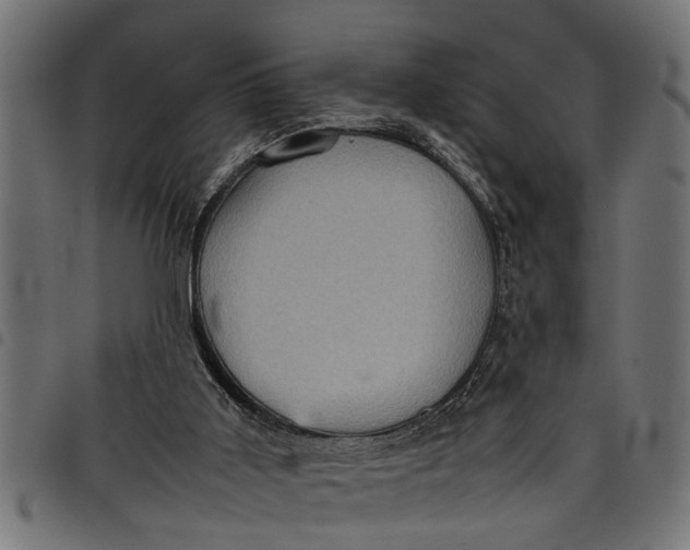 X0000097800011200803281045