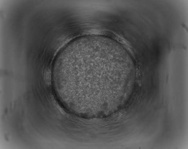 X0000097800012200803281045