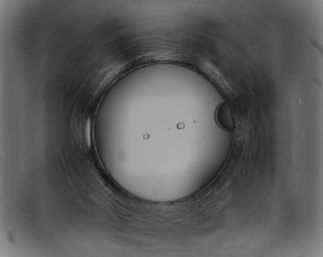 X0000097800014200803281045