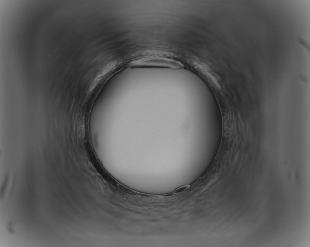 X0000097800015200803281045