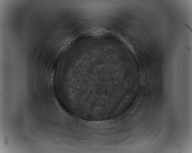 X0000097800018200803281045