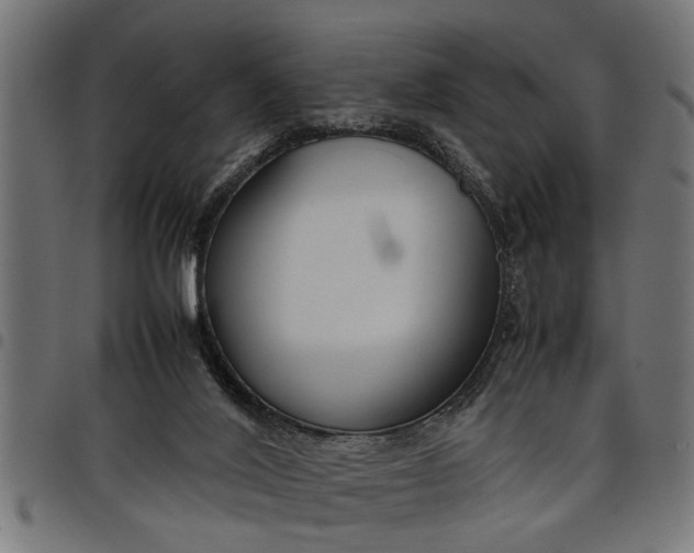 X0000097800020200803281045