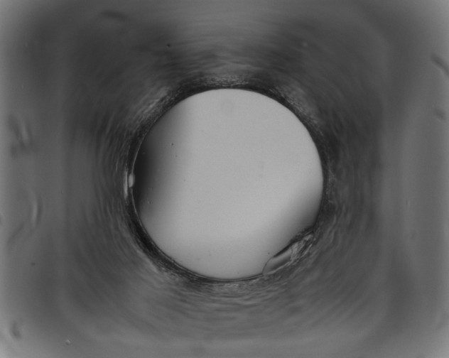 X0000097800021200803281045