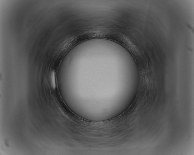 X0000097800022200803281045