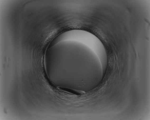 X0000097800023200803281045