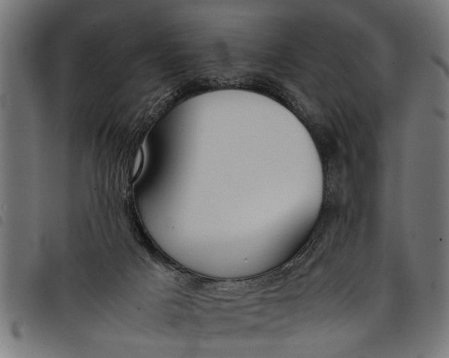 X0000097800025200803281045