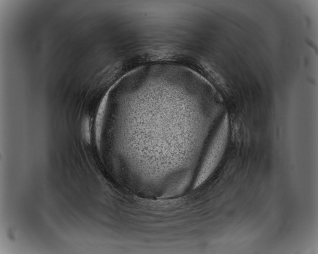 X0000097800026200803281045