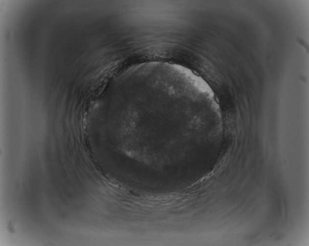 X0000097800029200803281045