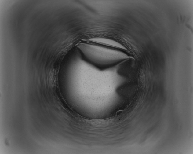 X0000097800030200803281045