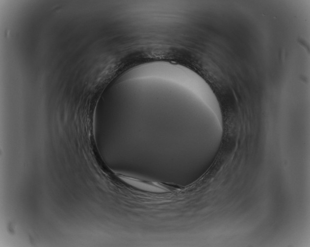 X0000097800031200803281045