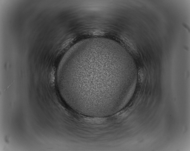 X0000097800032200803281045