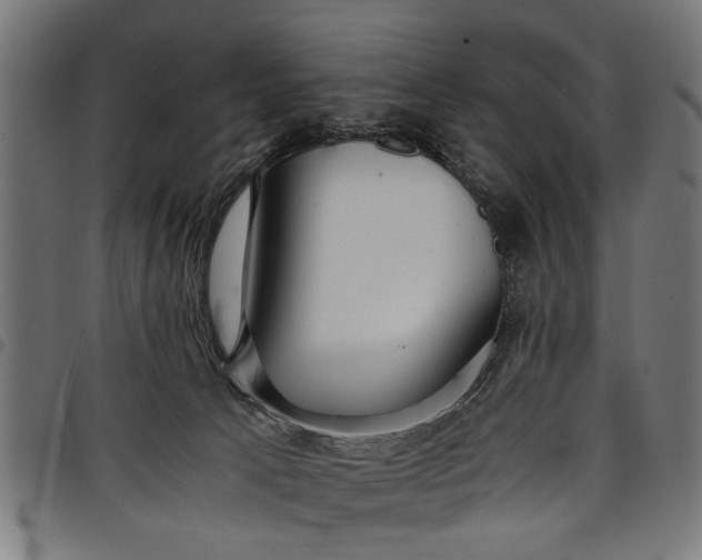 X0000097800033200803281045