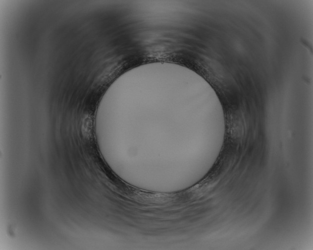 X0000097800036200803281045