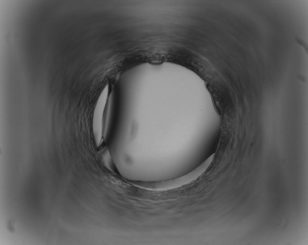 X0000097800037200803281045