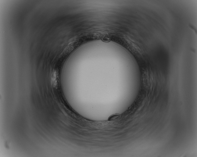 X0000097800038200803281045