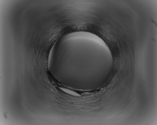 X0000097800039200803281045