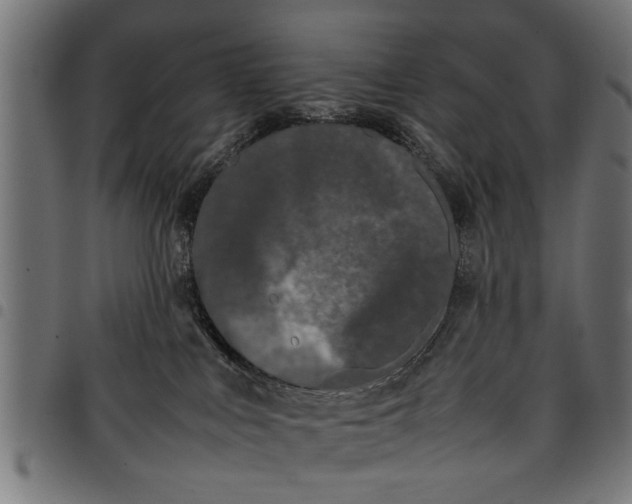 X0000097800043200803281045