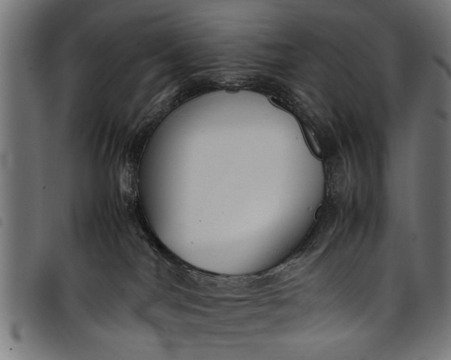 X0000097800044200803281045