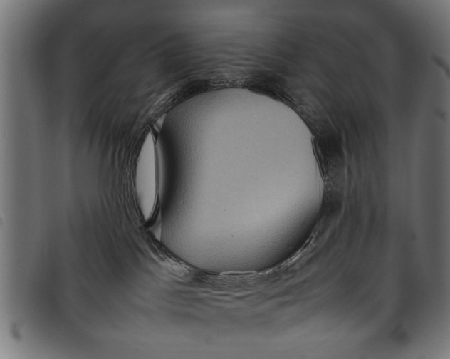 X0000097800045200803281045