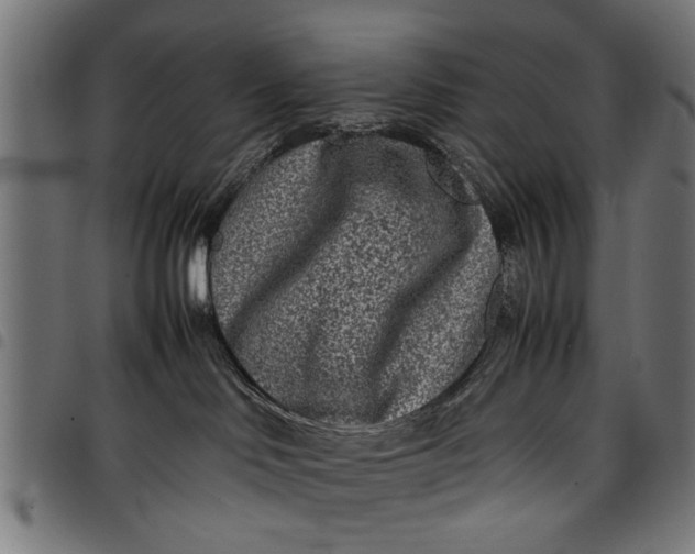 X0000097800046200803281045