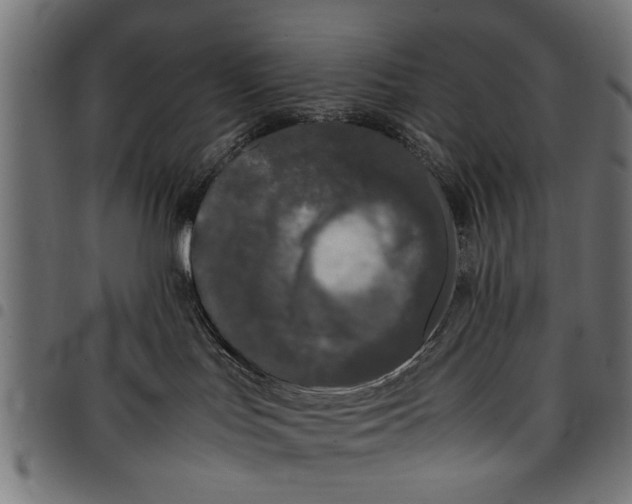 X0000097800047200803281045