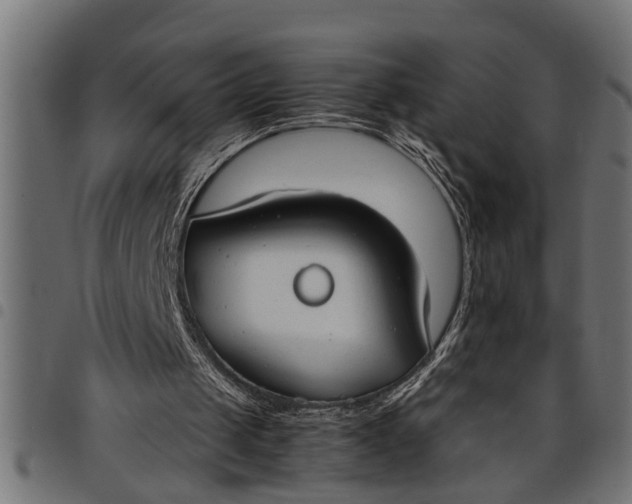 X0000097800049200803281044