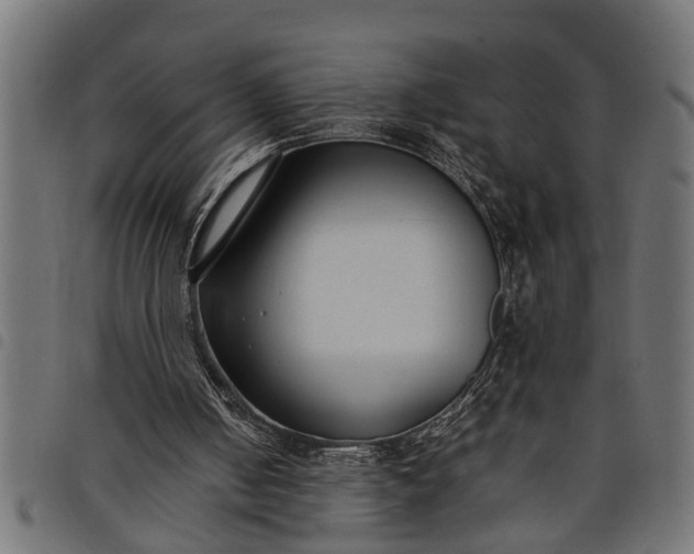 X0000097800050200803281044