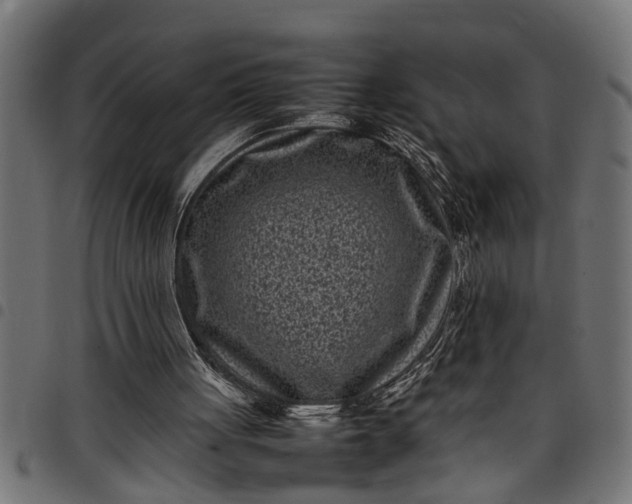 X0000097800051200803281044