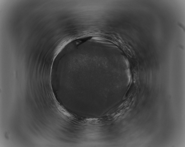 X0000097800052200803281044