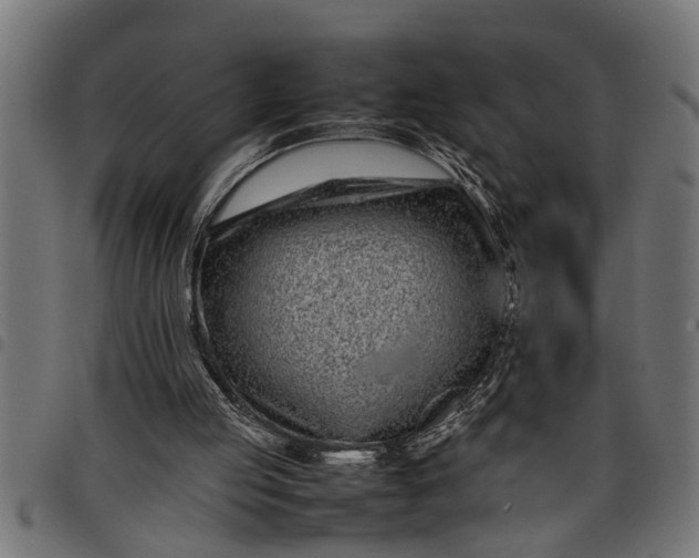 X0000097800053200803281044