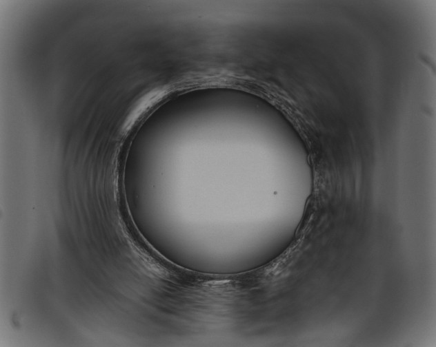 X0000097800054200803281044