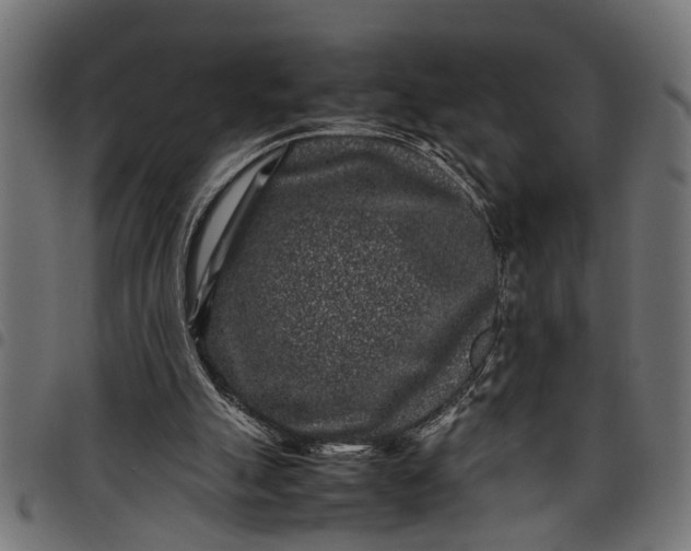 X0000097800055200803281044