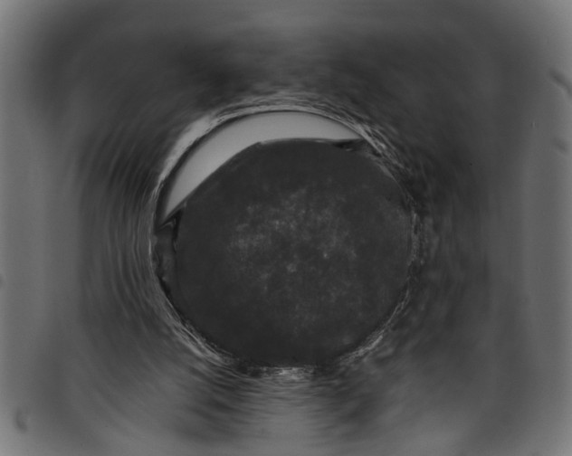 X0000097800056200803281044