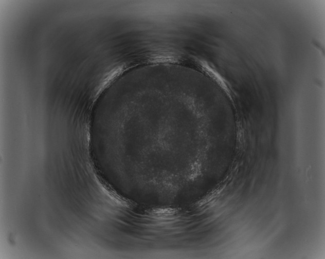 X0000097800059200803281044