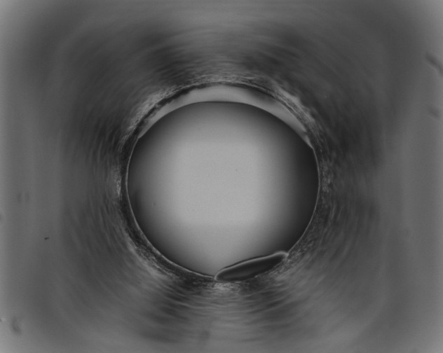 X0000097800060200803281044