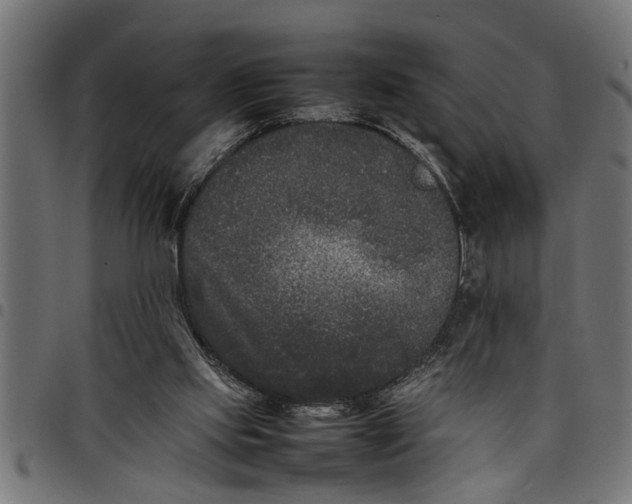 X0000097800061200803281044