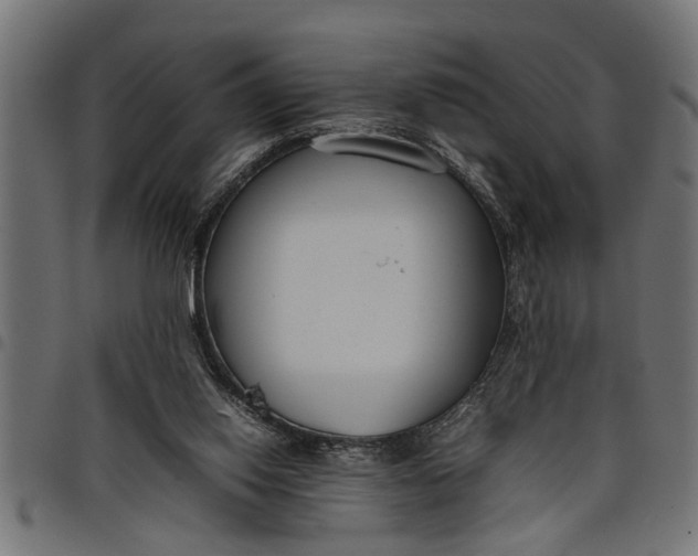 X0000097800062200803281044