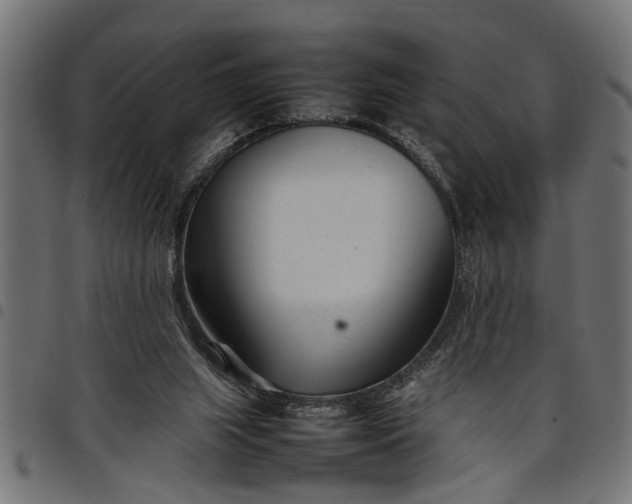 X0000097800063200803281044