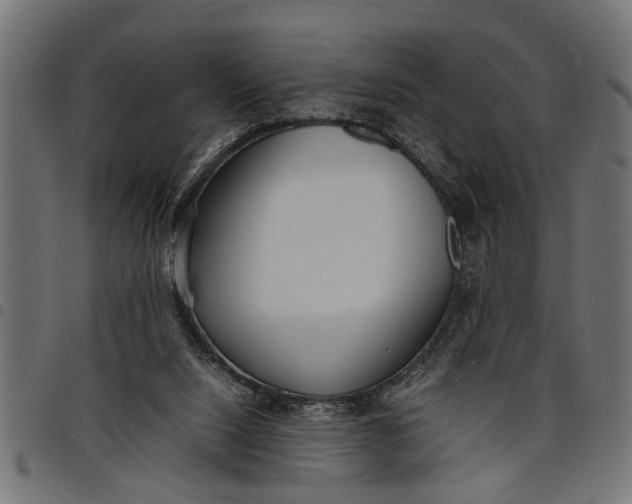 X0000097800064200803281044