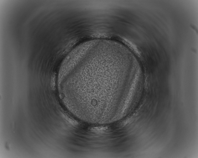 X0000097800065200803281044