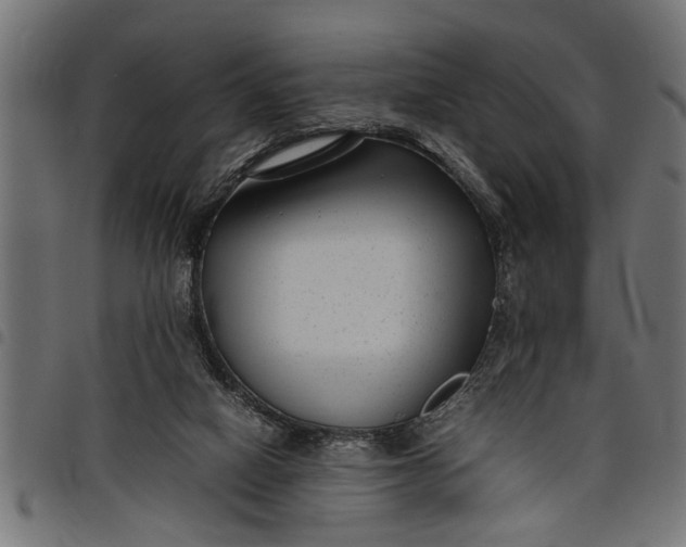 X0000097800066200803281044