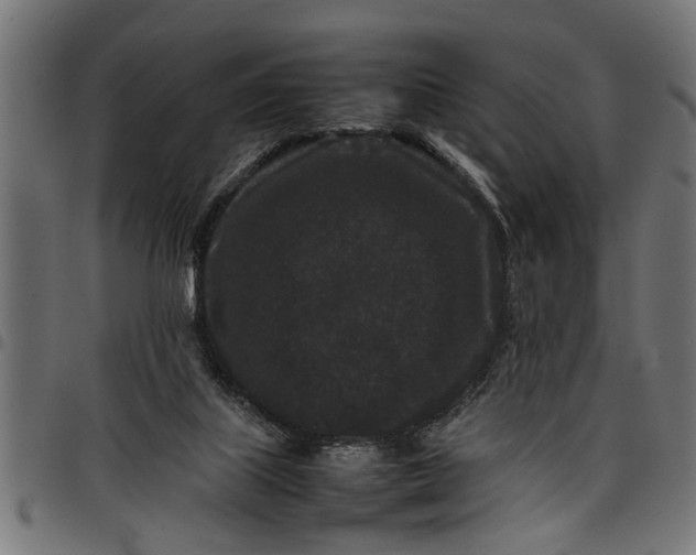 X0000097800067200803281044