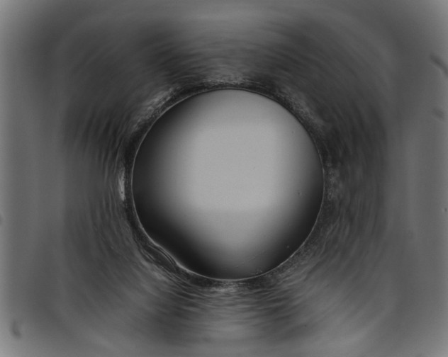 X0000097800068200803281044